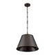 Alden 1-Light Pendant