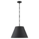 Alden 1-Light Pendant