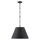 Alden 1-Light Pendant