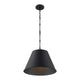 Alden 1-Light Pendant