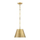 Alden 1-Light Pendant