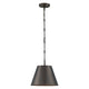 Alden 1-Light Pendant