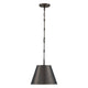 Alden 1-Light Pendant