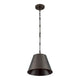 Alden 1-Light Pendant