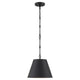 Alden 1-Light Pendant