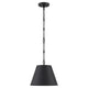 Alden 1-Light Pendant
