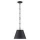 Alden 1-Light Pendant