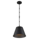 Alden 1-Light Pendant