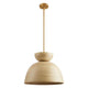 Agave 1-Light Pendant