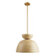 Agave 1-Light Pendant