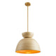 Agave 1-Light Pendant