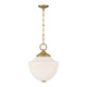 Montrose 1-Light Pendant