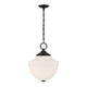 Montrose 1-Light Pendant