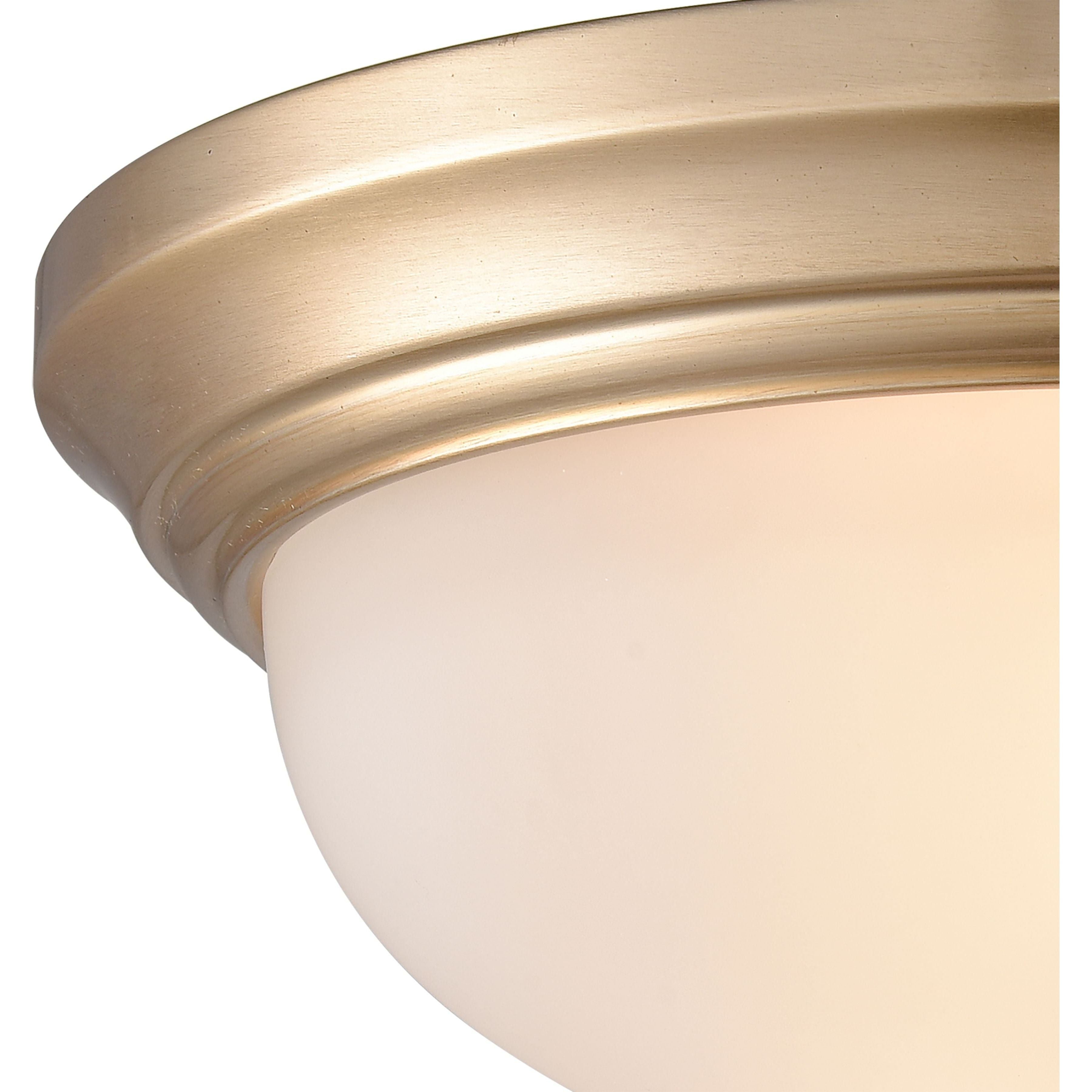 Basics 11" Wide 2-Light Flush Mount