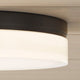 Cirque Large Flush Mount