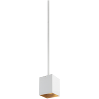 Exo 6 Pendant (48" Stem)