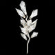 Foret 27"H LSF Sconce