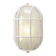 Marine LED Exterior Wall Light