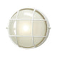 Marine 1-Light Exterior Wall Light