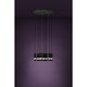 Bernabeta 23" 10-Light Pendant