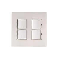 Dual Duplex Switch Wall Plate and Gang Box