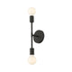 Modernist 2-Light Wall Sconce