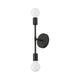 Modernist 2-Light Wall Sconce