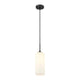 Monty 1-Light 17" Pendant