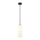 Monty 1-Light 22" Pendant