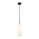 Monty 1-Light 22" Pendant