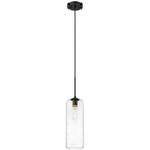 Z-Lite - Monty 1-Light 22" Pendant - Lights Canada