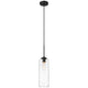 Z-Lite - Monty 1-Light 22" Pendant - Lights Canada