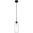 Z-Lite - Monty 1-Light 22" Pendant - Lights Canada
