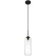 Z-Lite - Monty 1-Light 22" Pendant - Lights Canada