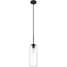 Z-Lite - Monty 1-Light 22" Pendant - Lights Canada