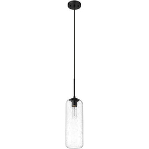 Z-Lite - Monty 1-Light 22" Pendant - Lights Canada