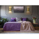 Harlech 2-Light Wall Sconce