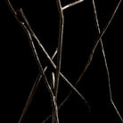 750113-07-M1