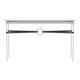 Equus Console Table