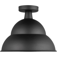Barn Light 1-Light Outdoor Flush Mount