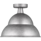 Barn Light 1-Light Outdoor Flush Mount