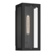 Calen 14" 1-Light Outdoor Wall Light
