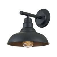 Falcon 1-Light Exterior Wall Light
