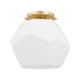 Tring 1-Light Flush Mount
