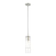 Alton 1-Light Pendant