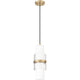 Cayden 1-Light Pendant