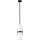 Cayden 1-Light Pendant