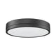 Algar 1-Light 16" Flush Mount