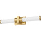 1019-25W-MGLD-LED
