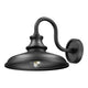 RLM 1-Light Outdoor Wall Light